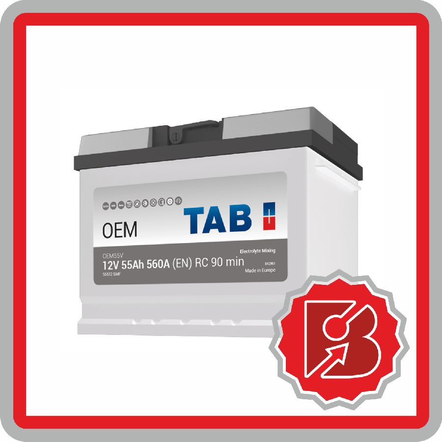 TAB OEM 55 Ah EFF 1.0 TSI