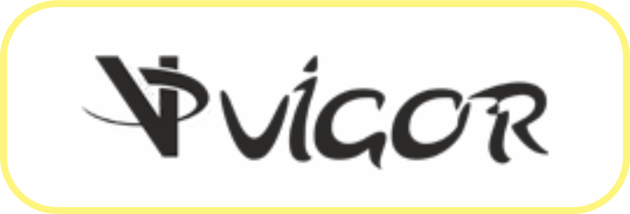 Vigor Akü Ankara